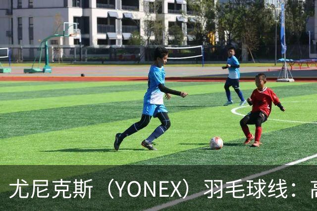 尤尼克斯（YONEX）羽毛球线：高弹耐用，提升你的比赛表现
